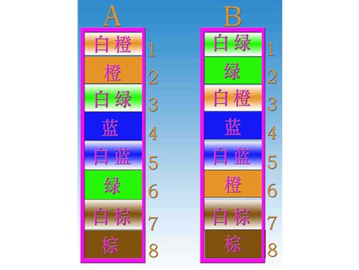 电工考证培训——如何自己做网线